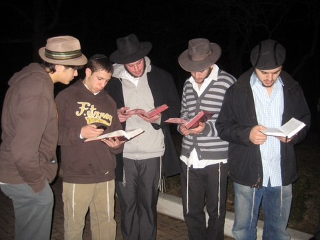 Bais Menachem kiddush levana.JPG